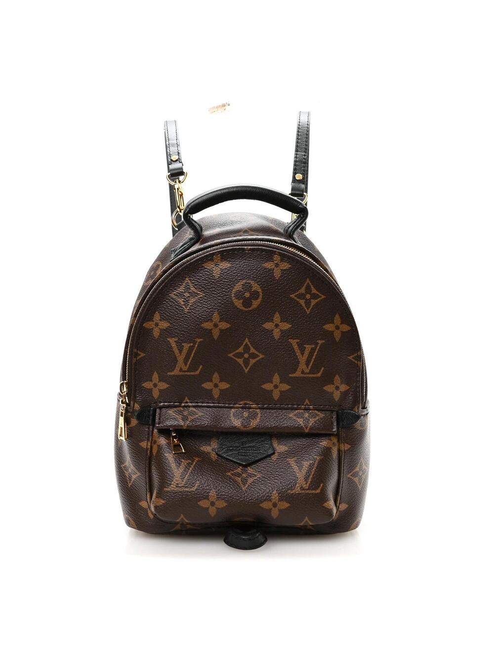 Louis Vuitton Palm Springs Backpack #339563L15B